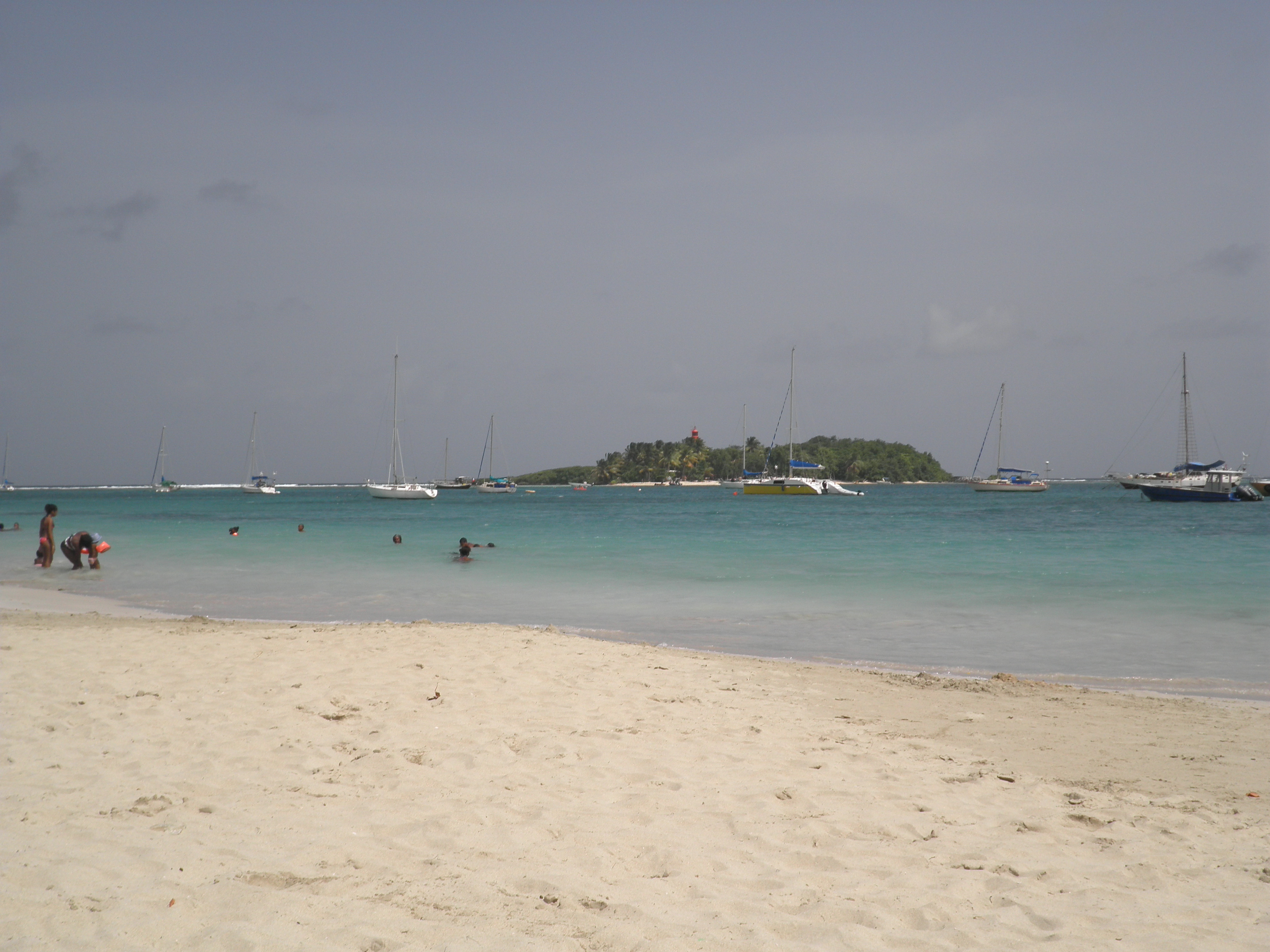 bon rencontre l osier